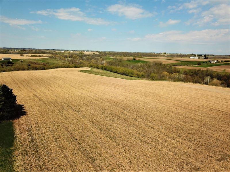 28 Acres in Winona County, MN : Dakota : Winona County : Minnesota