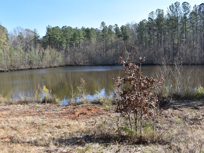 Beautiful Homesite with Pond : Madison : Morgan County : Georgia