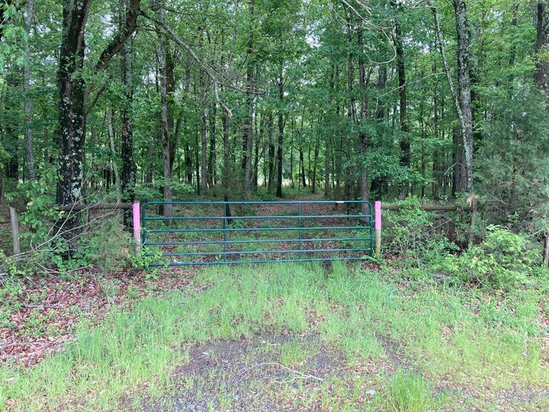 Arkansas Hunting Land for Sale : Russell : White County : Arkansas