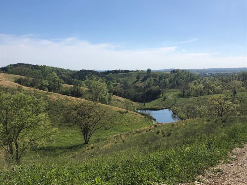 110 Acres, Mostly Pastureland : Russellville : Hamblen County : Tennessee