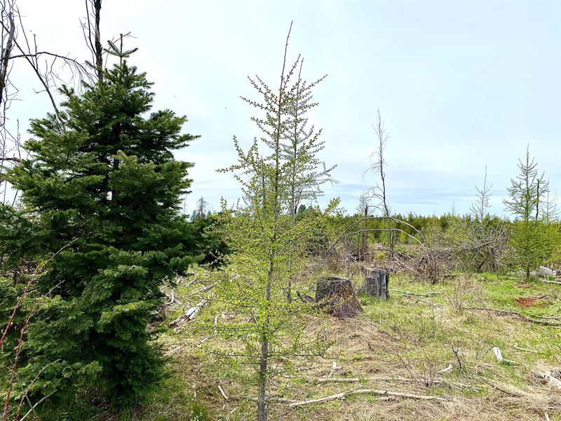 Acreages North Central Idaho no : Orofino : Clearwater County : Idaho
