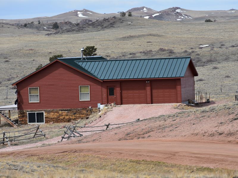 Pumpkin Paradise : Tie Siding : Albany County : Wyoming