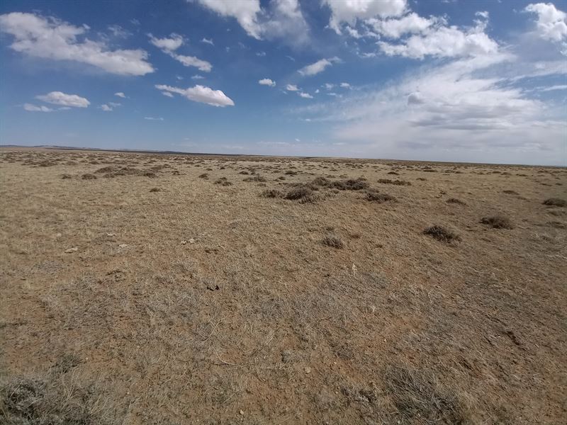 Picture Perfect Blue Sky Views : Medicine Bow : Albany County : Wyoming