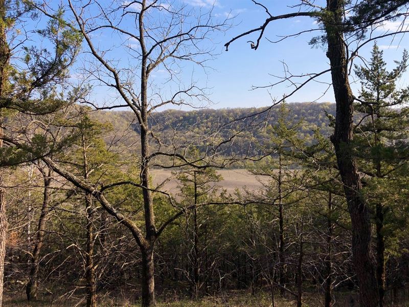 17 Acres Fillmore County, MN : Peterson : Fillmore County : Minnesota