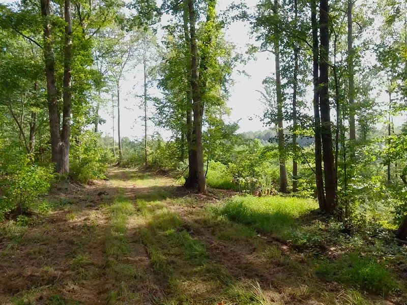 Shaffer Family Farm : Sandy Ridge : Stokes County : North Carolina