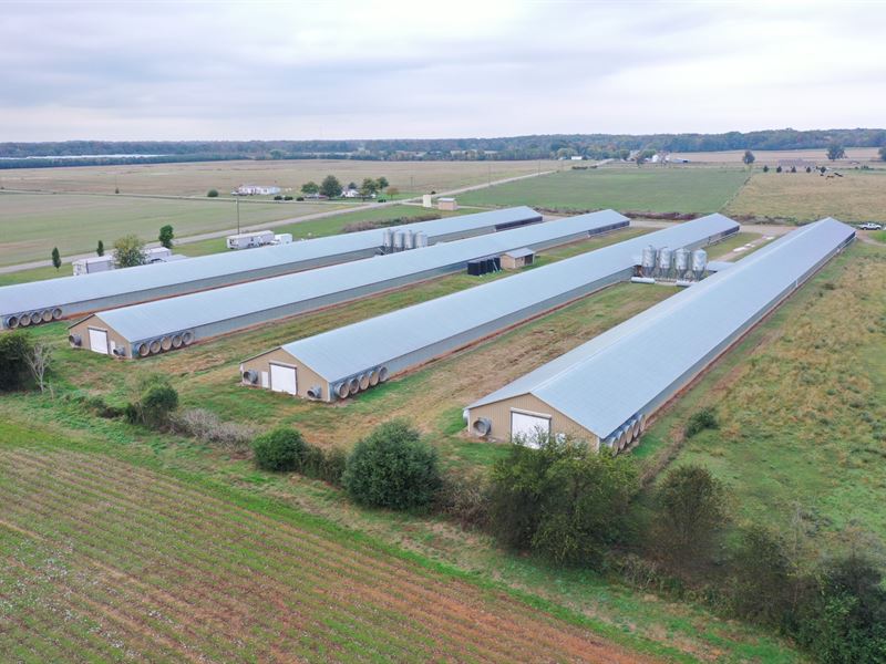 Four House Broiler Farm : Elora : Lincoln County : Tennessee
