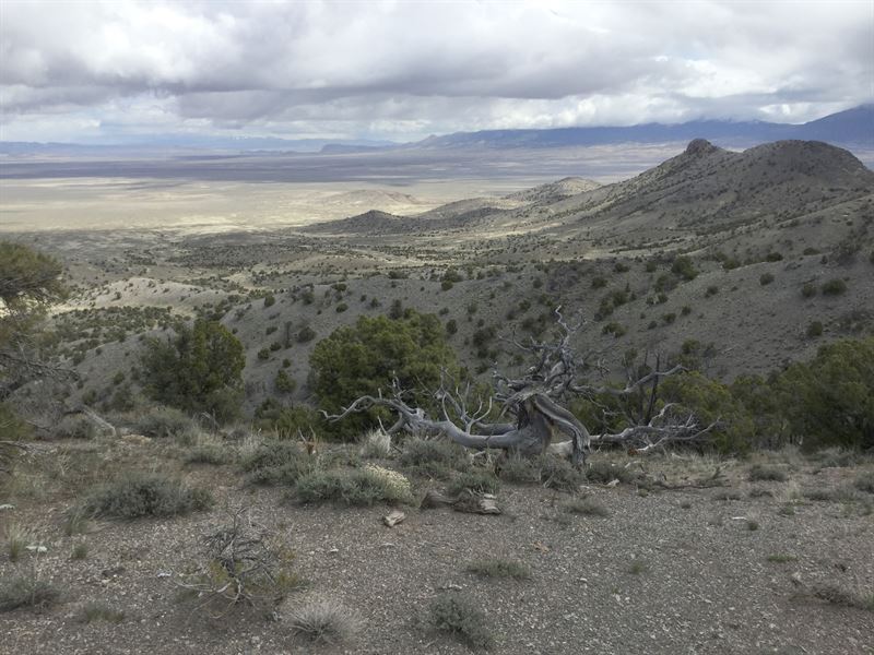 Mountain Solitude Guaranteed : Montello : Elko County : Nevada