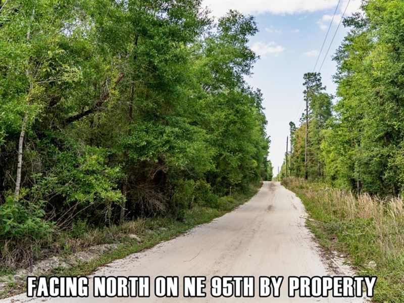 Owner Fin, Mobiles or Ag Use Okay : East Bronson : Levy County : Florida