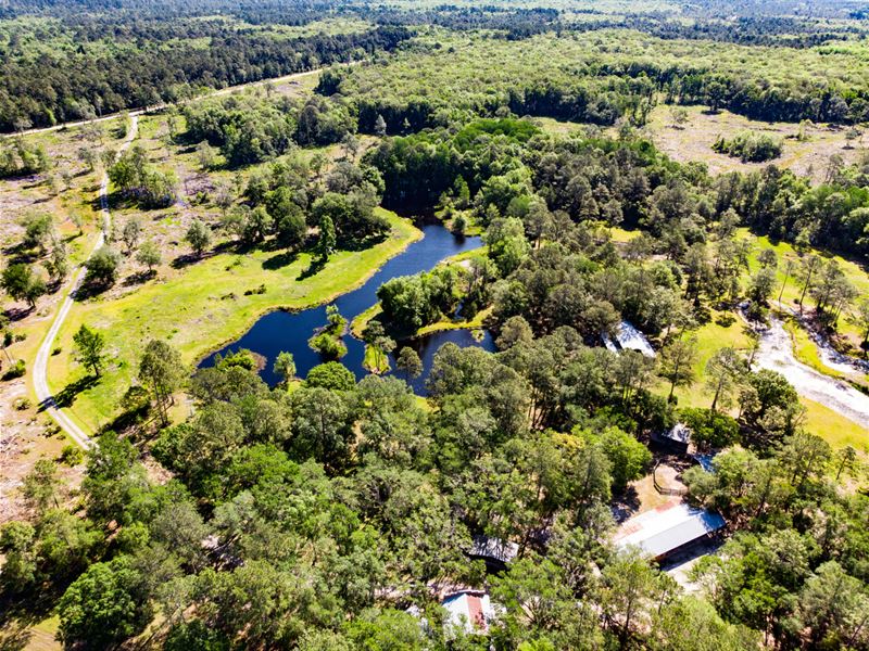 951 Ac Estate Jefferson Co FL : Monticello : Jefferson County : Florida