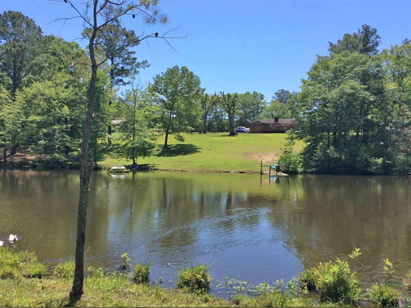 Mitchell Rd House and Land : Opp : Covington County : Alabama