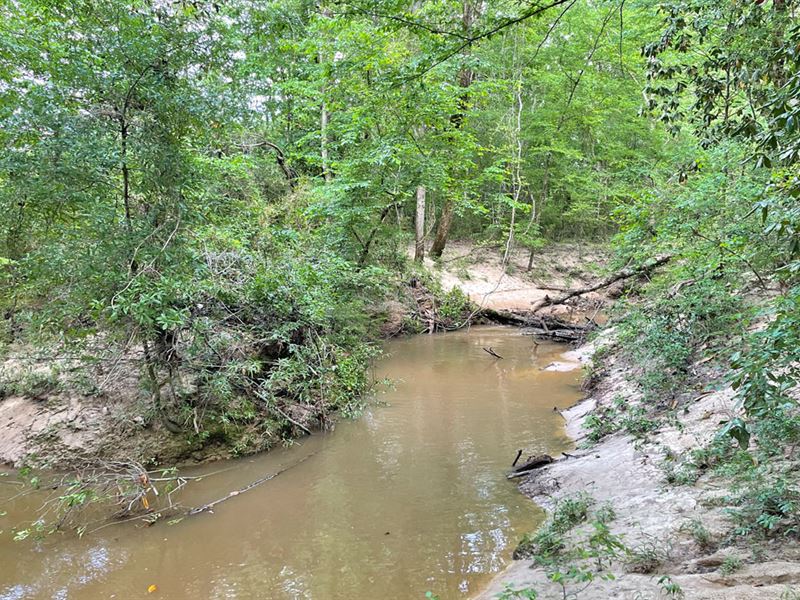 Little Creek Tract : Dixons Mills : Marengo County : Alabama
