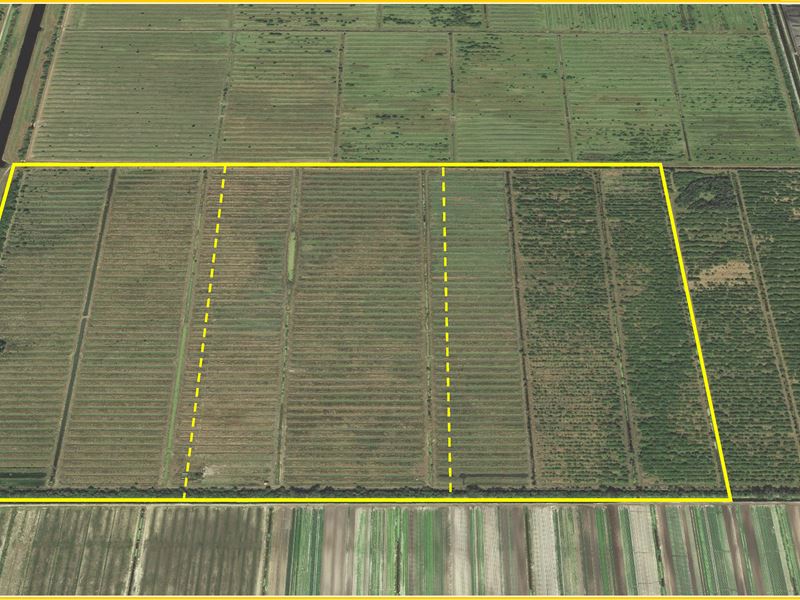 287 Ac Fenced Pasture w Cattle Pens : Port St Lucie : Saint Lucie County : Florida