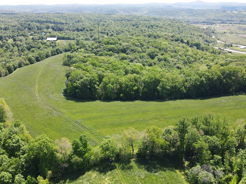 Beautiful Farm Land Mulitple : Liberty : Casey County : Kentucky