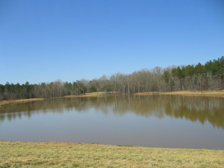Oglethorpe Co., Hunting, Timberland : Lexington : Oglethorpe County : Georgia