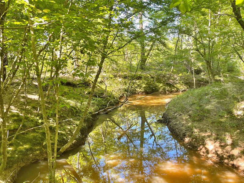 Highway 43 Tract : Dixons Mills : Marengo County : Alabama