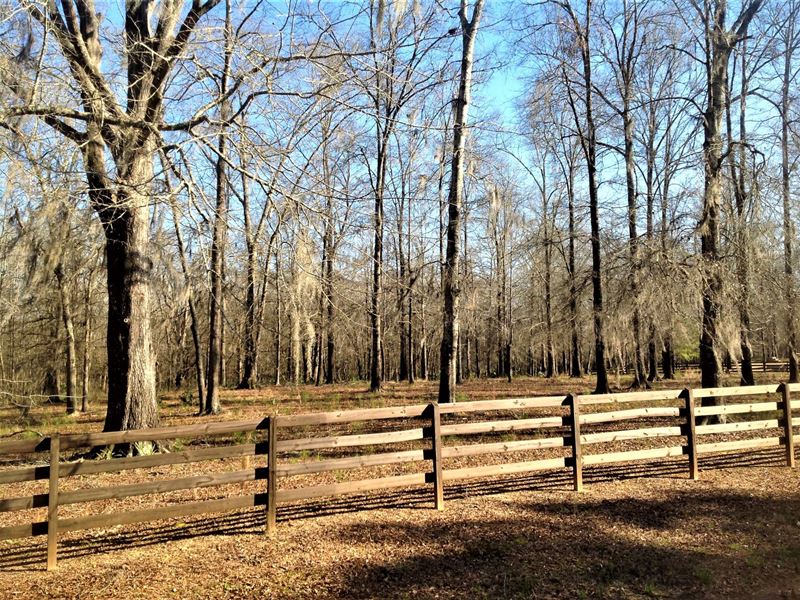3-015J Pike Road Estate Lot Hunting : Pike Road : Montgomery County : Alabama