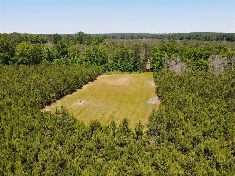 Hooks Road Investment Tract : Pittsview : Russell County : Alabama