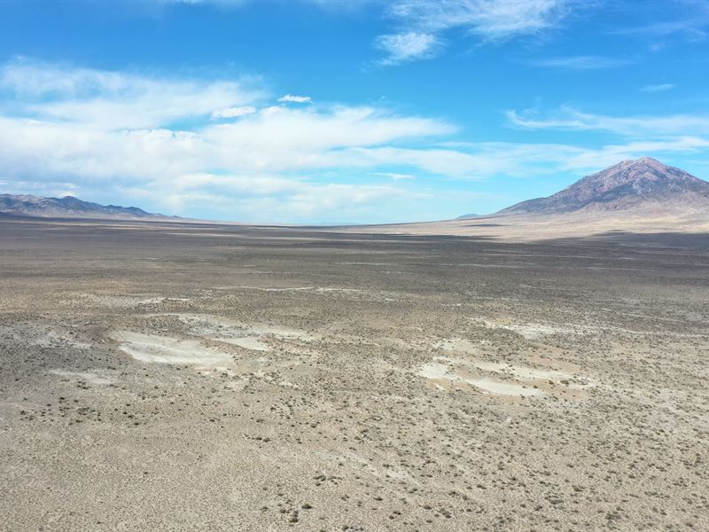 Hunt / Recreation West Wendover, NV : West Wendover : Elko County : Nevada