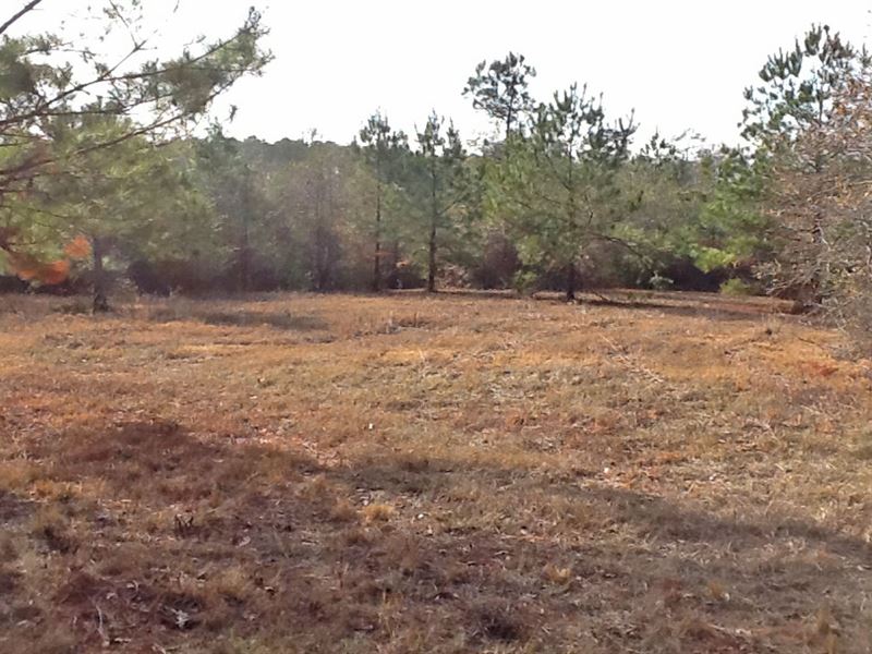 Baker Lane Tract : Luverne : Crenshaw County : Alabama