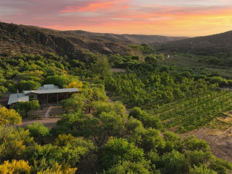 Aravaipa Farms Orchard and Inn : Dudleyville : Pinal County : Arizona