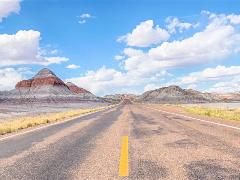 40 Acres in Navajo County, AZ : Sun Valley : Navajo County : Arizona