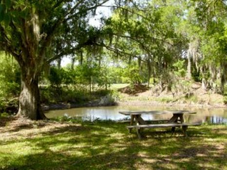 Rock Ridge Ranch and Home : Polk City : Polk County : Florida