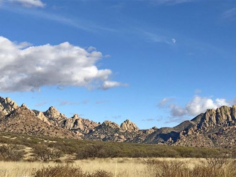 36+ Acre Lot Dragoon Mountain Ranch : Saint David : Cochise County : Arizona