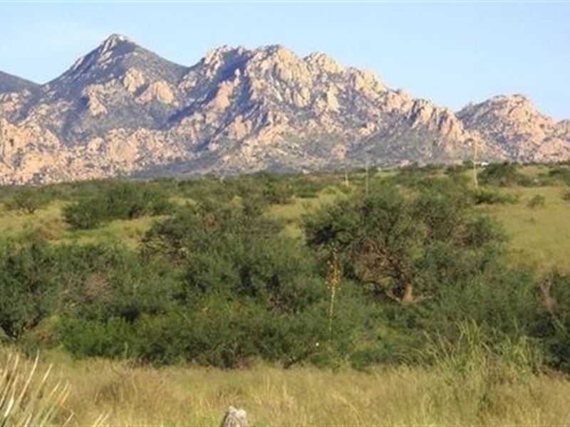 Acreage Dragoon Mountain Ranch St, Ranch for Sale in Arizona, 280316