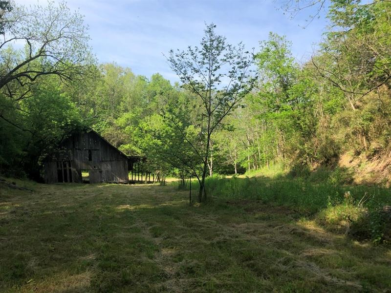 42 Acres Unrestricted Land East TN : Bybee : Cocke County : Tennessee
