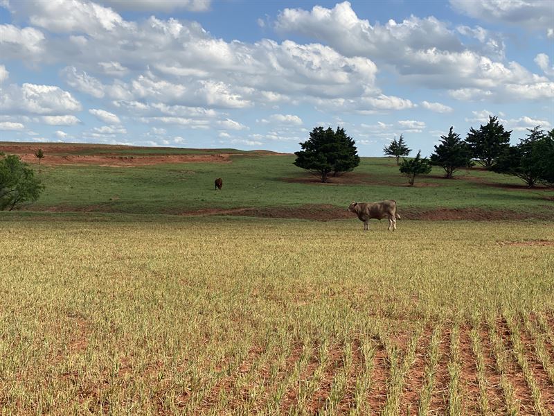 Farmland with Minerals : Cordell : Washita County : Oklahoma