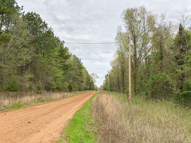 114 Acres, Maya 1004 Tract 17 : Simms : Bowie County : Texas