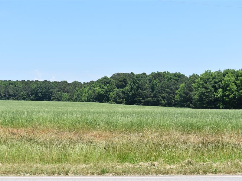 Great Mini Farm Location : Buckhead : Morgan County : Georgia