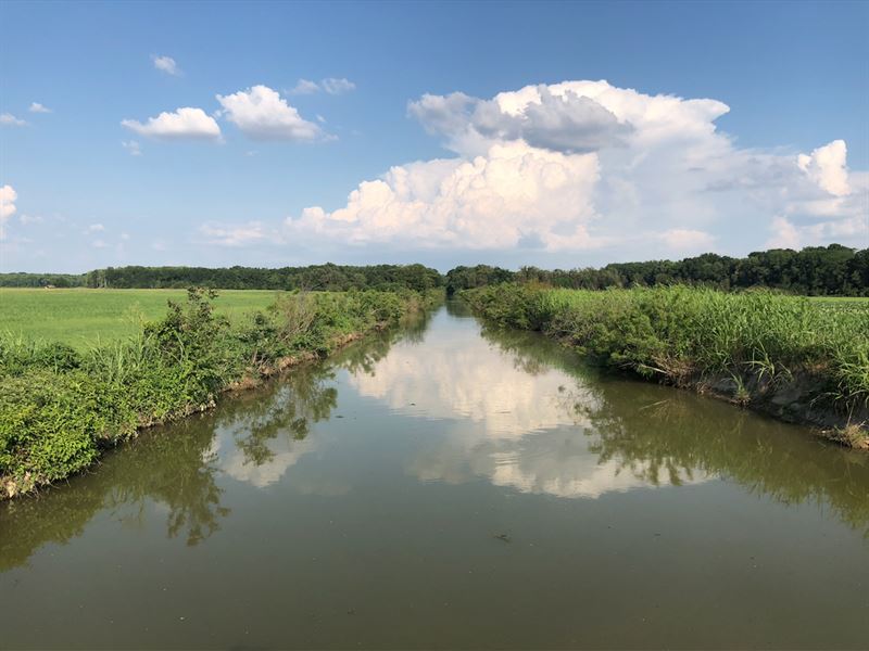 L'anguille River Rice Farm : Palestine : Saint Francis County : Arkansas