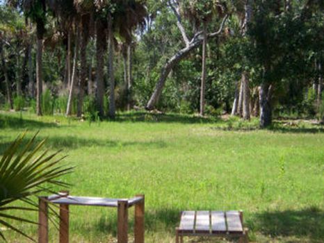 Sand Dollar Ranch : Kenansville : Brevard County : Florida