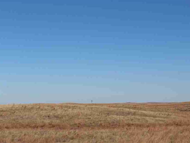 Keya Paha County Grass : Springview : Keya Paha County : Nebraska