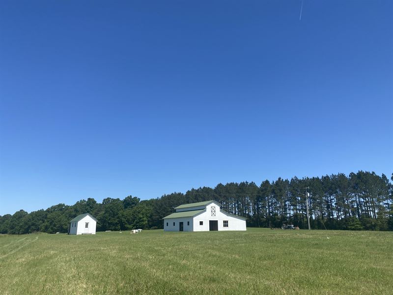 Flatout Farms, Dog and Horse Farm : Montezuma : Macon County : Georgia