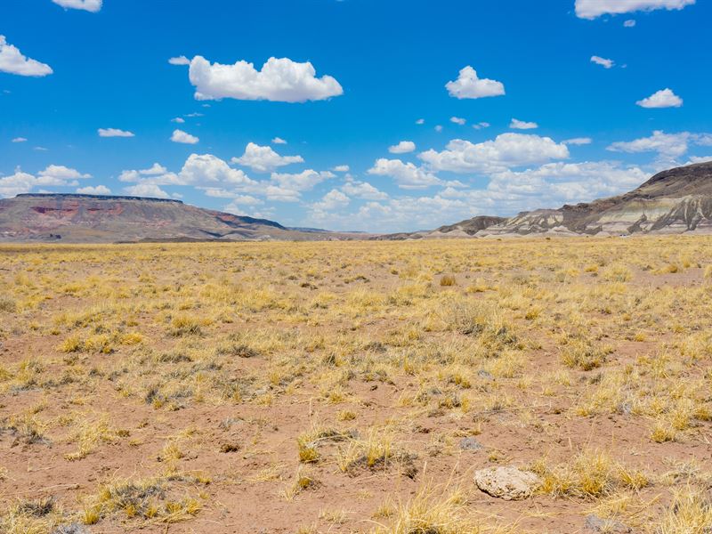 Off Grid Lot with Blm on N & E Side : Joseph City : Navajo County : Arizona