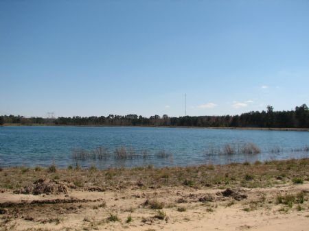 Indian Springs : Savannah : Chatham County : Georgia