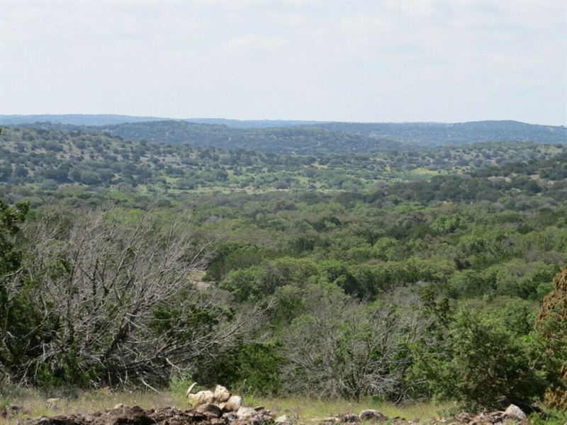 Newby Hills, Lot 60 : Rocksprings : Edwards County : Texas