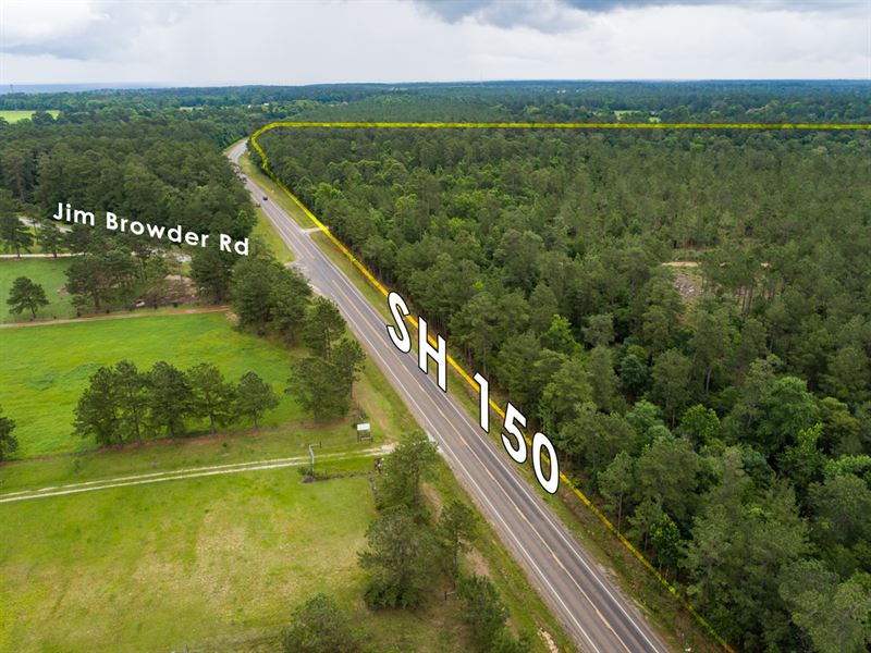 239 Acres, Hwy 150 : New Waverly : Walker County : Texas