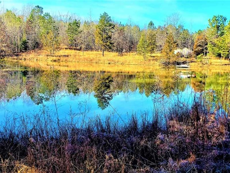 68 Acre Great Home Spot, Pond, Fie : Selmer : McNairy County : Tennessee