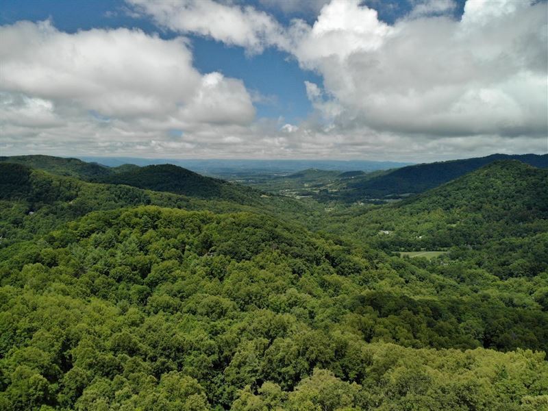 191.63 Acres Off Ox Creek Road : Weaverville : Buncombe County : North Carolina