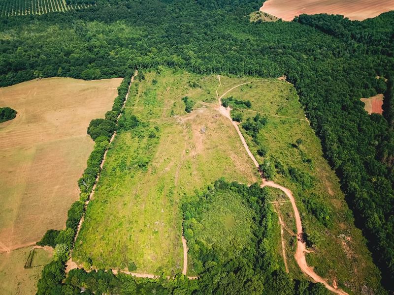 Hunting/Investment Tract with Creek : Montezuma : Macon County : Georgia