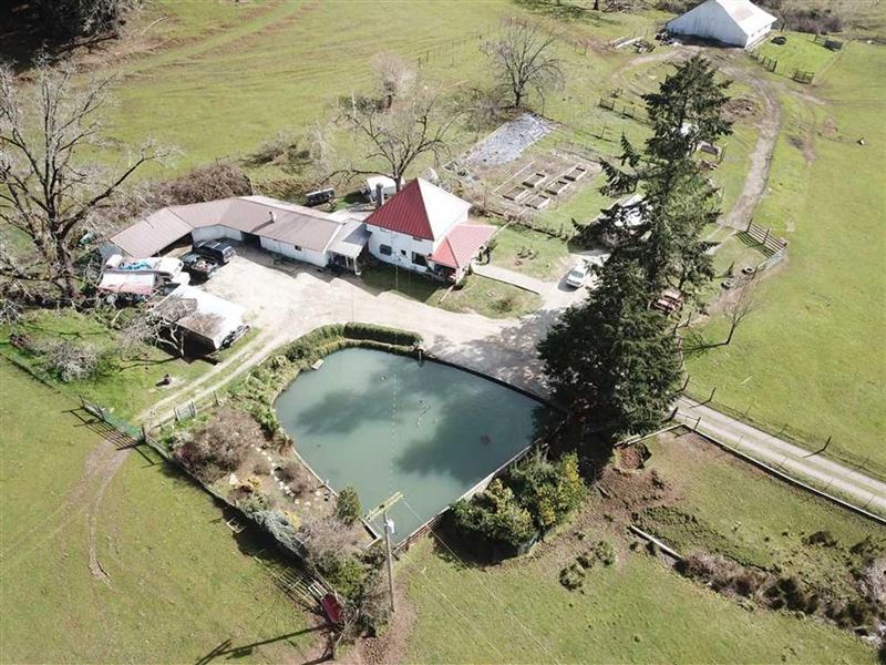 Frozen Creek Ranch Irrigated, Farm : Myrtle Creek : Douglas County : Oregon