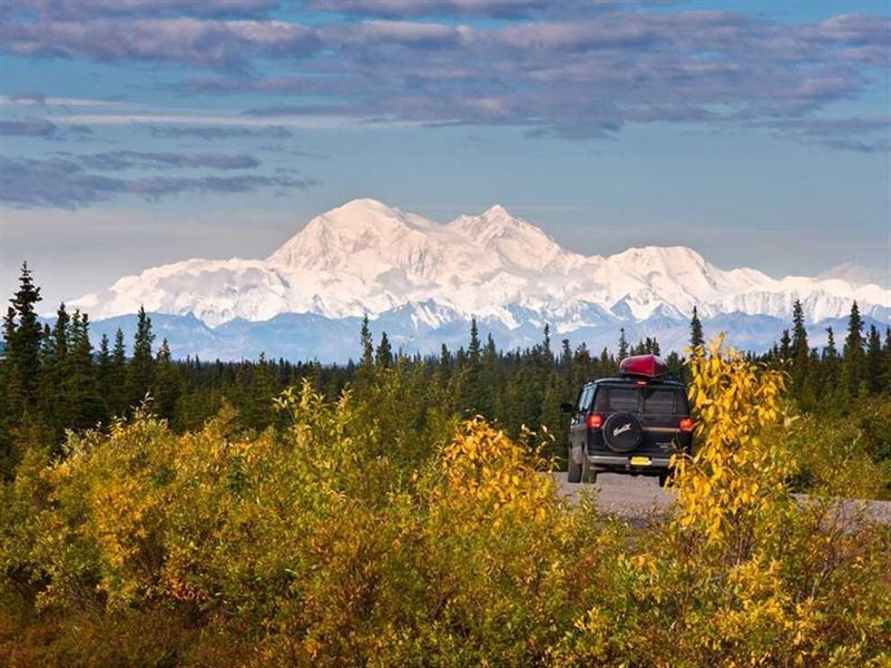 39 Acre Parcel Near Anderson, Ak : Anderson : Denali Borough : Alaska