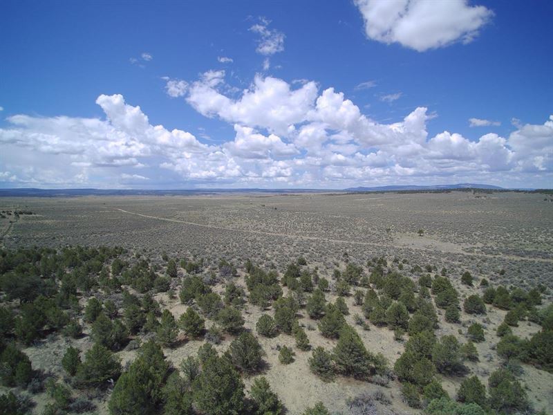 Cebolla Ranch : Cebolla : Rio Arriba County : New Mexico