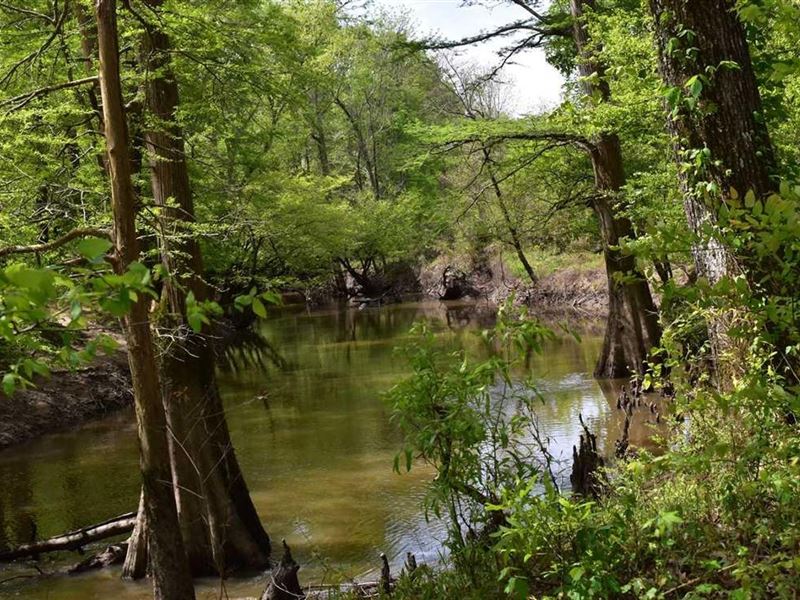 Terre Rouge Creek : Prescott : Nevada County : Arkansas