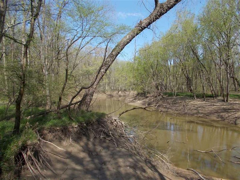 Pin Oak Farm for Sale, Mount Erie : Mount Erie : Wayne County : Illinois