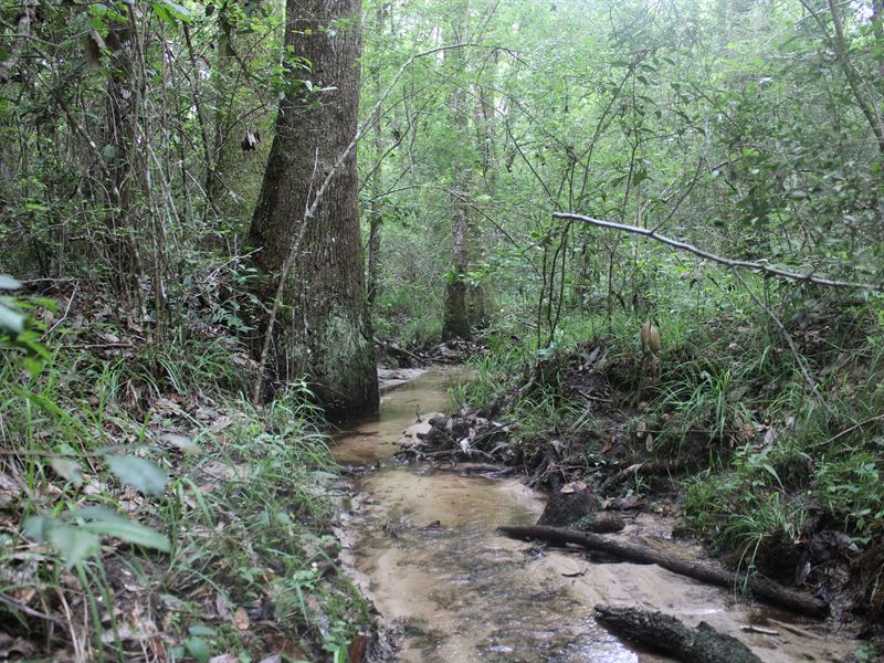 Dale County, Al, 38 AC Farm : Enterprise : Dale County : Alabama