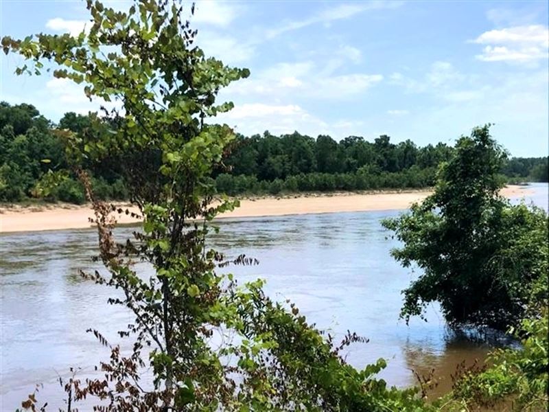 510 Acres Leaf Riverfront Hunting : McLain : Greene County : Mississippi